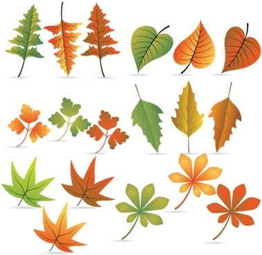 378x368 Parasol Vector Free Vector Download