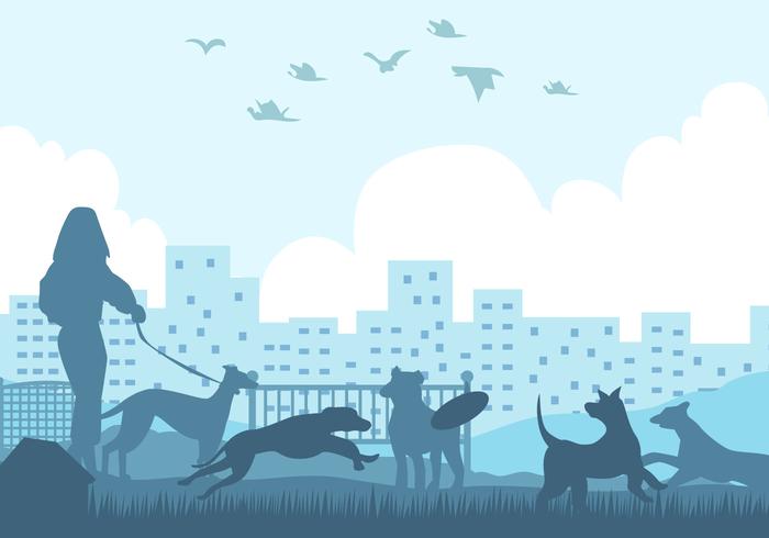 700x490 Whippet Dog Silhouette In The Park