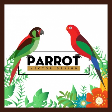 368x368 Parrot Free Vector Download