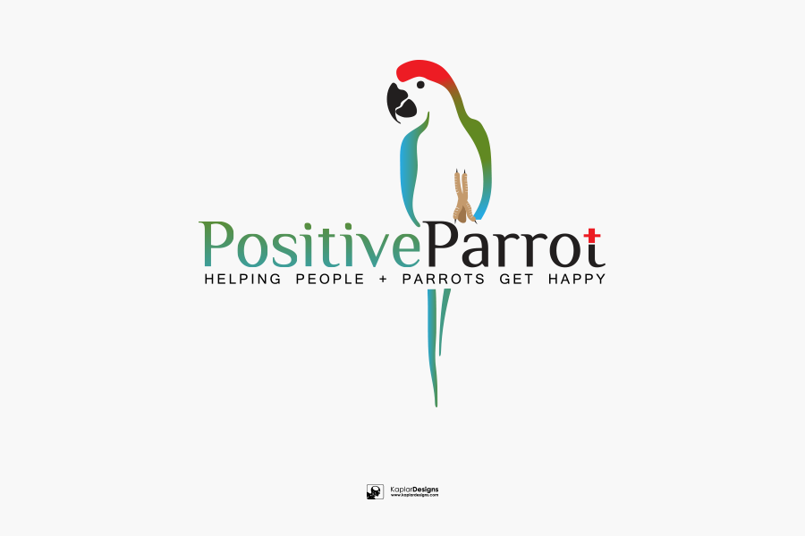 900x600 Positive Parrot Helping People And Parrots