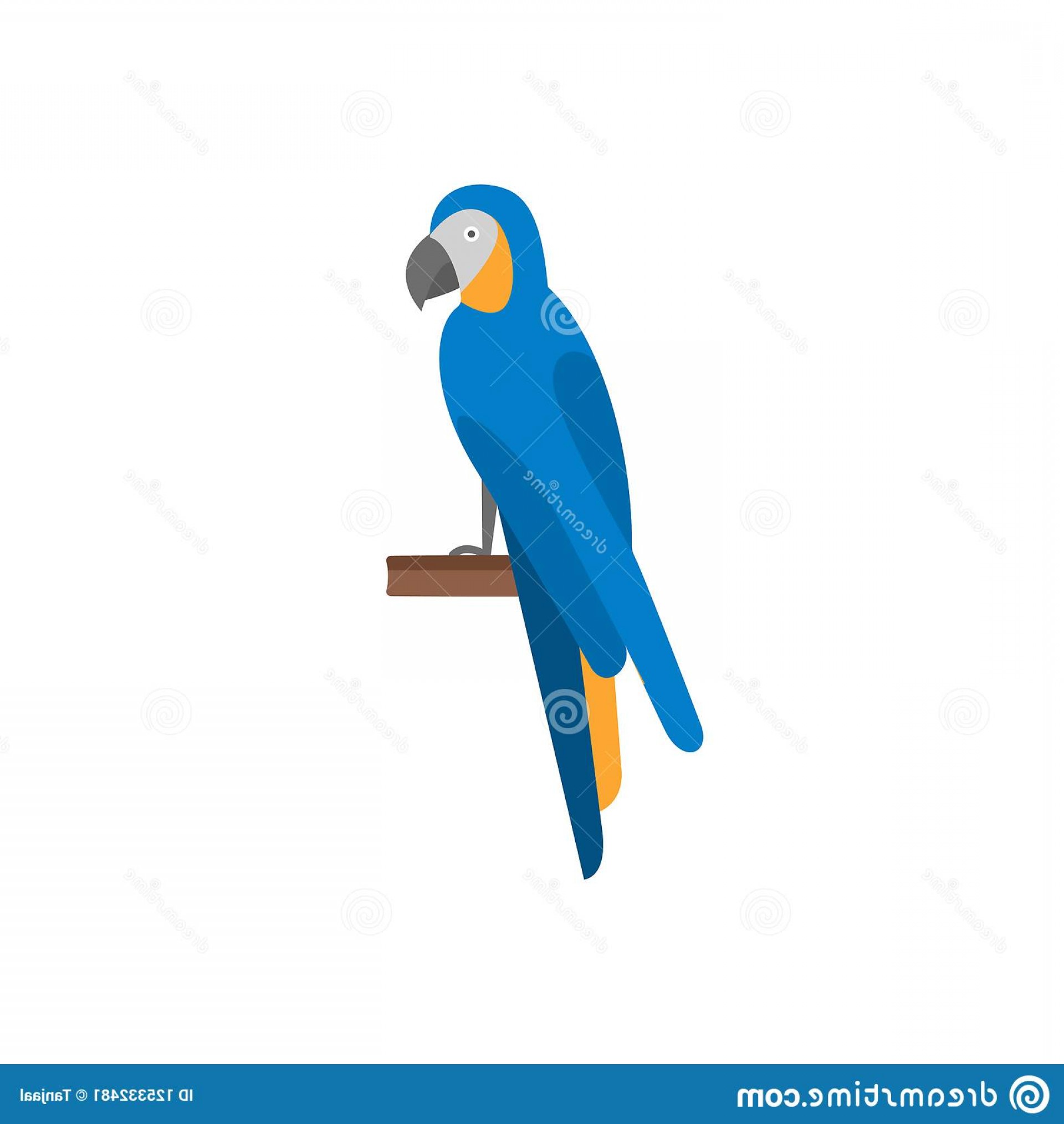 1920x2028 Parrot Flat Icon Logo Element Black Color Website Apps Print Media