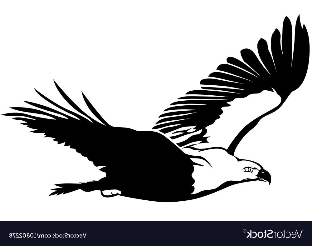 1000x787 Best Hd Crowned Eagle Vector Cdr Free Vector Art, Images