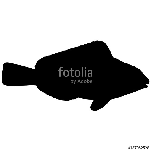 500x500 Parrot Fish Silhouette