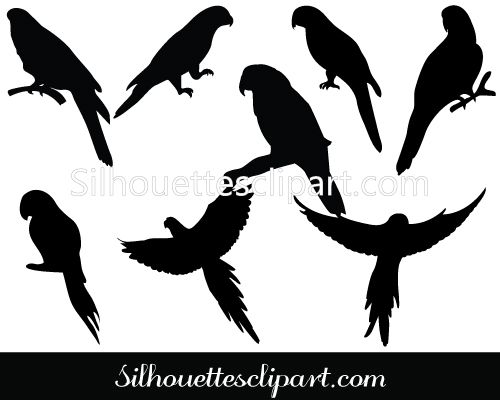 500x400 Parrot Silhouette Vector Birds Vector Graphics Silhouette