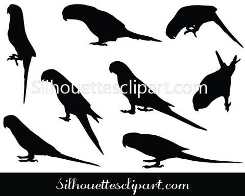 480x384 Parrot Silhouette Vector Birds Silhouette Vector Silhouette