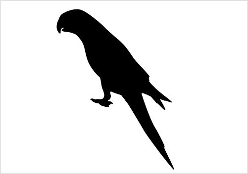 501x352 Parrot Silhouette Vector Download Parrot Vectors Silhouette
