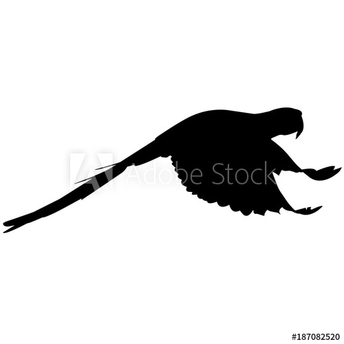500x500 Parrot Silhouette Vector Graphics