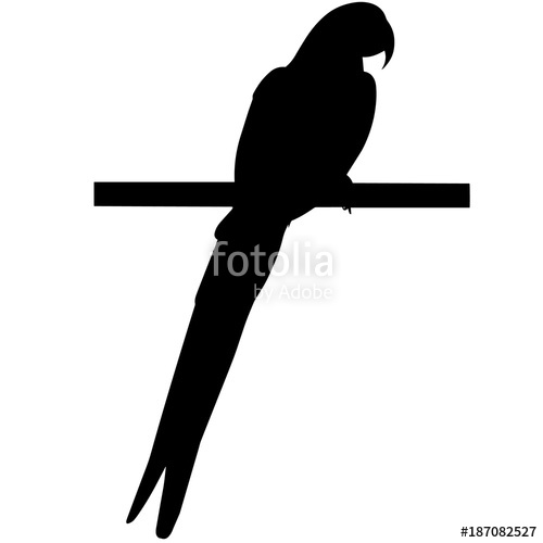 500x500 Parrot Silhouette Vector Graphics Stock Image And Royalty Free
