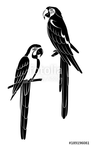 Parrot Silhouette Vector at Vectorified.com | Collection of Parrot ...