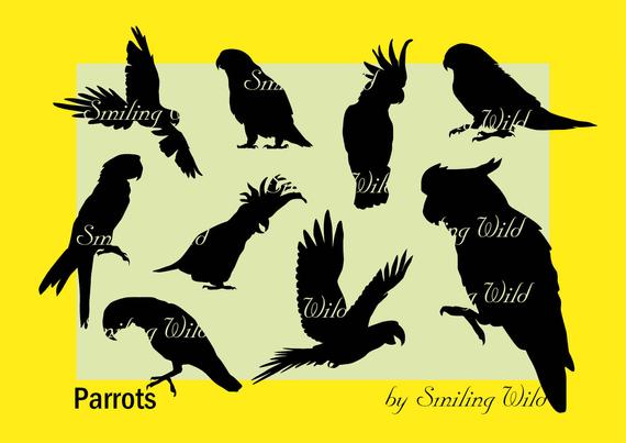 570x403 Parrot Silhouette Cockatoo Ara Macaw Vector Etsy