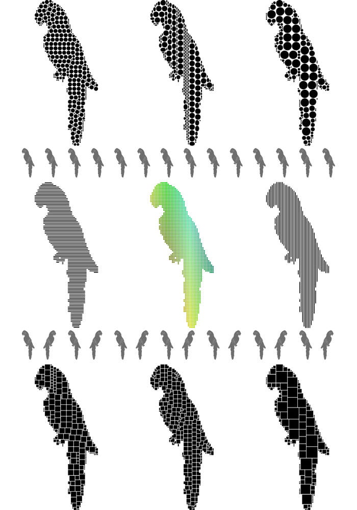 700x1000 Parrot Vector Free Graphics Uihere