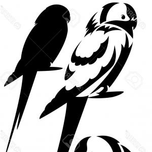 300x300 Photostock Vector Black Parrot Silhouettes Isolated On White