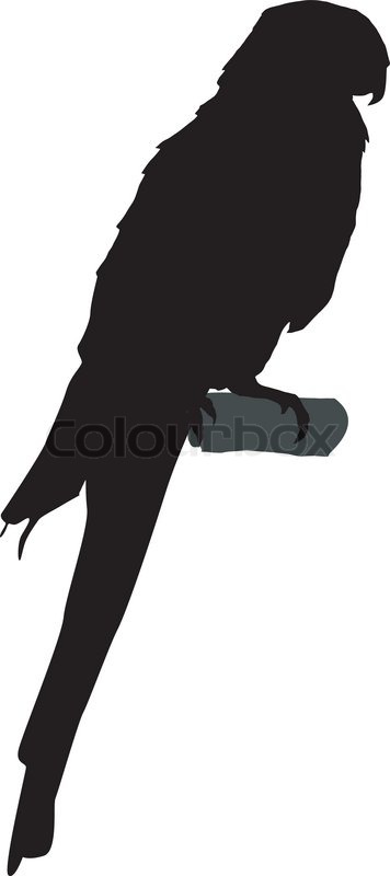 356x800 Silhouette Of Parrot Stock Vector Colourbox