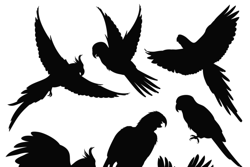 Parrot Silhouette Vector at Vectorified.com | Collection of Parrot ...