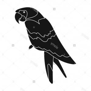 300x300 White Silhouette And Line Parrots Vector Hoodamathrun