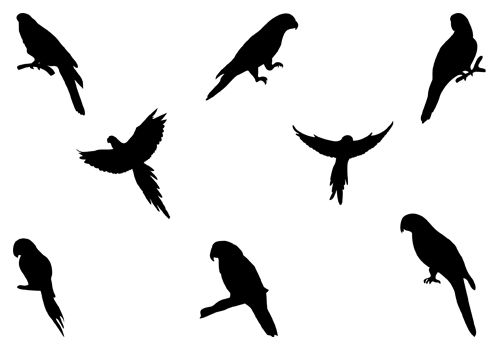 500x350 Parrot Silhouette Clip Art And Macaw Silhouette Clip Art