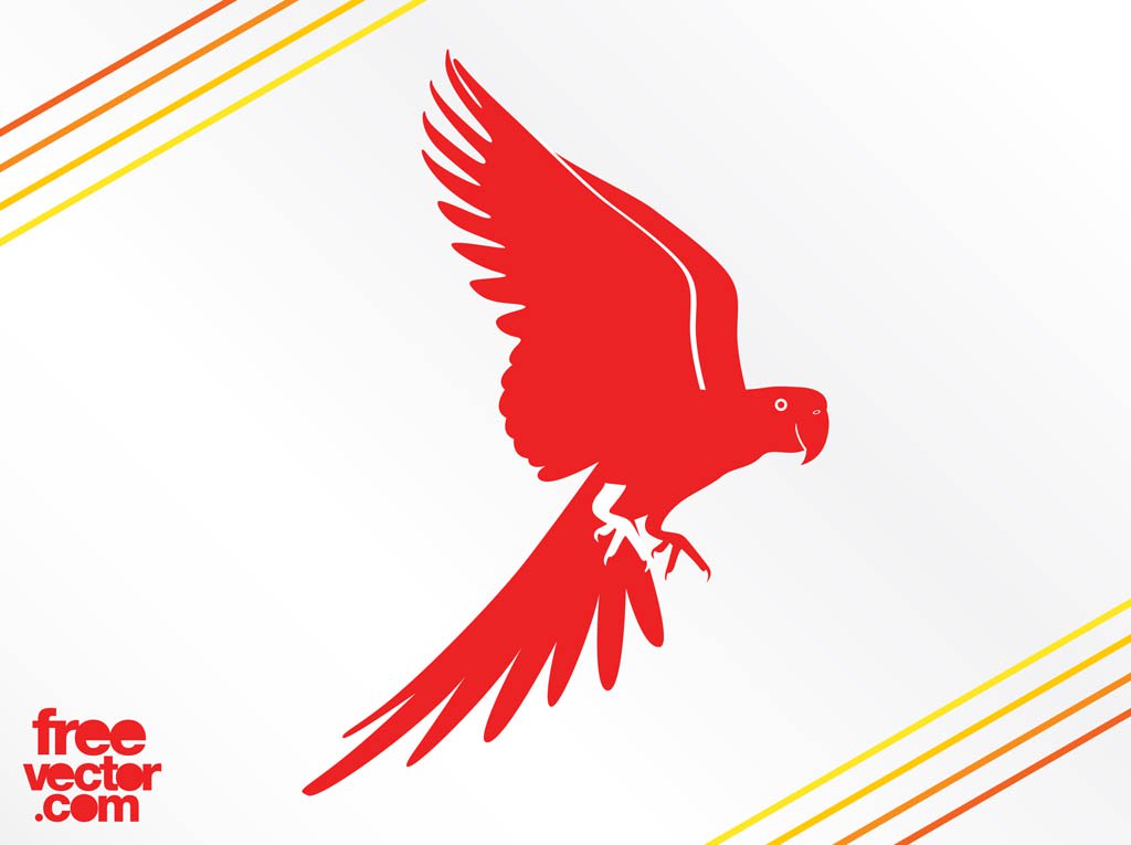 1024x765 Flying Parrot Silhouette Vector Art Graphics