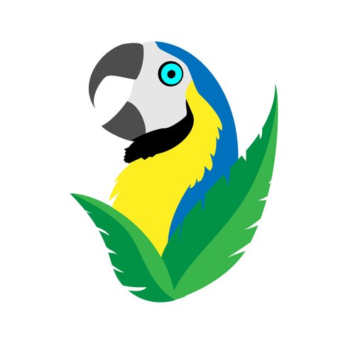 480x480 Free Colorful Parrot Files, Vectors Graphics