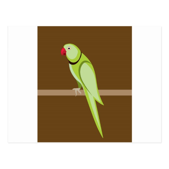 540x540 Green Ringneck Parrot Vector Postcard