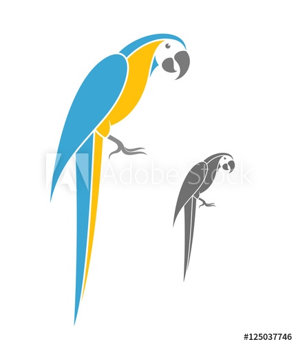 430x500 Macaw Parrot Vector Illustration