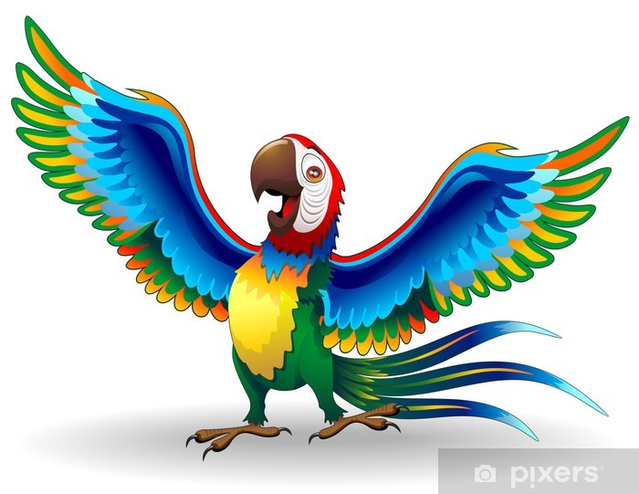 700x541 Pappagallo Ara Cartoon Funny Macaw Parrot Vector Wall Mural