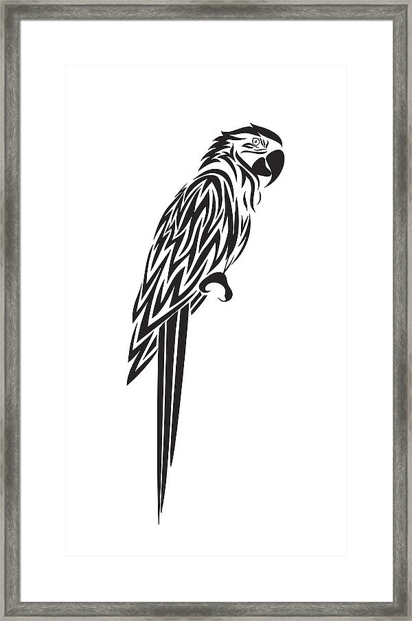 600x904 Parrot Vector Icon Framed Print