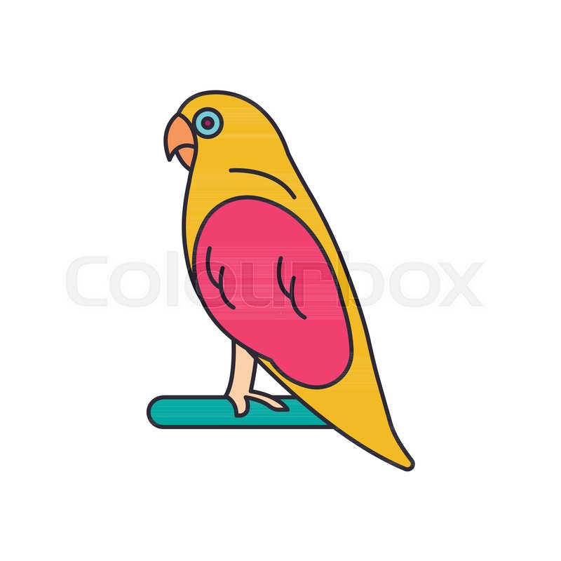 800x800 Parrot Icon Cartoon Parrot Vector Stock Vector Colourbox