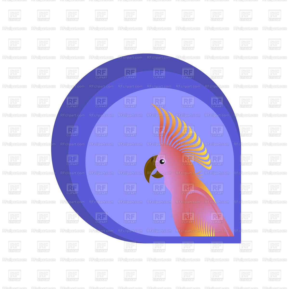 1200x1200 Pink Cockatoo Parrot Vector Image Of Plants And Animals
