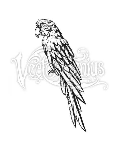 468x580 Tropical Parrot Clipart