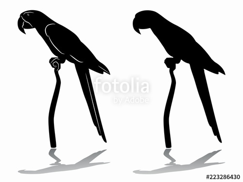 500x375 Silhouette Of A Parrot Vector Drawing Stock Image And Royalty