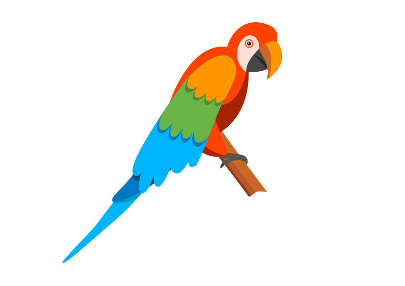 800x566 Cartoon Parrot Vector