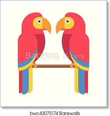 362x382 Cartoon Parrot Vector, Art Print Barewalls Posters Prints