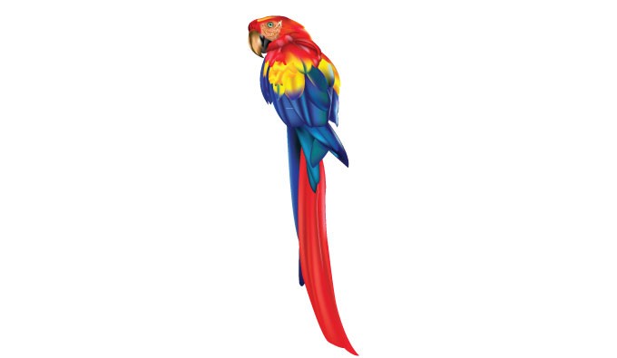 680x395 Colorful Parrot Vector Vectorish