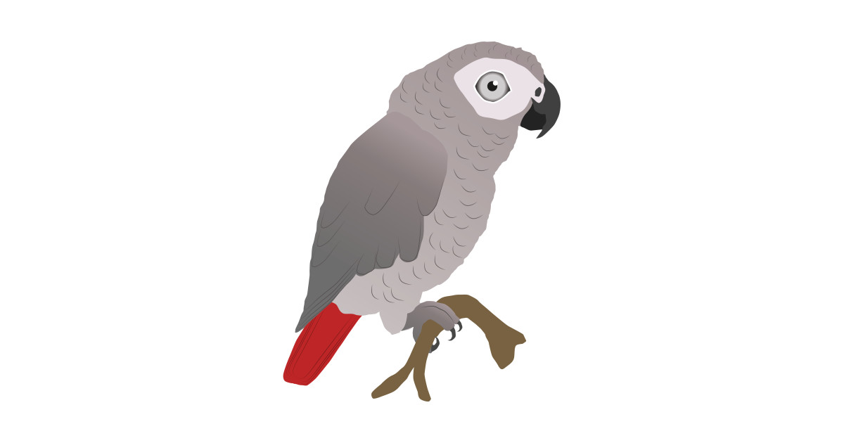 1200x630 Cute African Grey Parrot Vector
