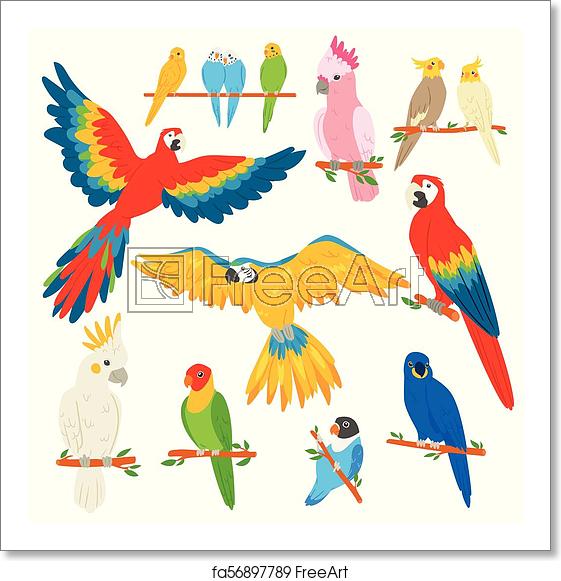 561x581 Free Art Print Of Parrot Vector Parrotry Character And Tropical