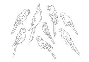 286x200 Parrot Free Vector Art