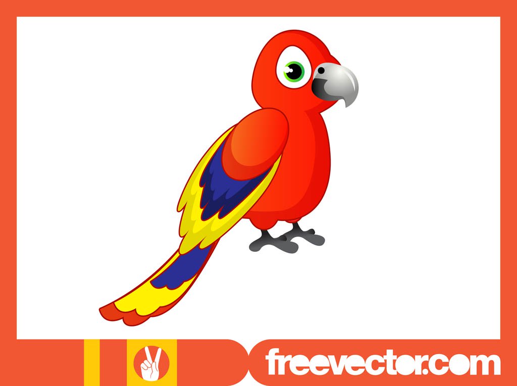 1024x765 Cartoon Parrot Vector Art Graphics