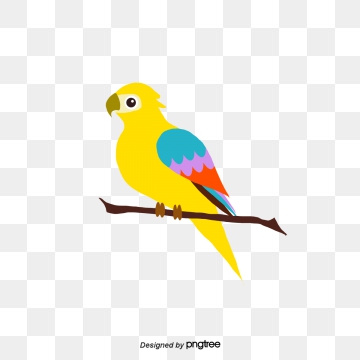 360x360 Parrot Vector, Free Download Parrots, Flying Parrot, Watercolor
