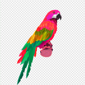 360x360 Parrot Vector, Free Download Parrots, Flying Parrot, Watercolor