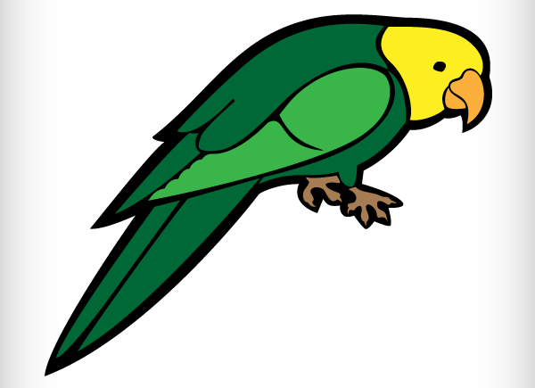 600x435 Parrot Vector Image