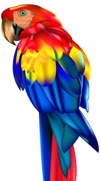 207x368 Parrot Free Vector Download