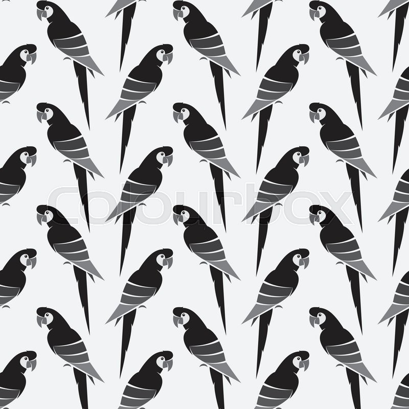 800x800 Parrot Vector Art Background Design Stock Vector Colourbox