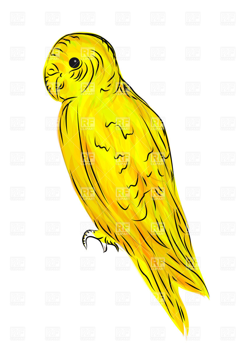 849x1200 Yellow Parrot Vector Image Of Plants And Animals Arkela