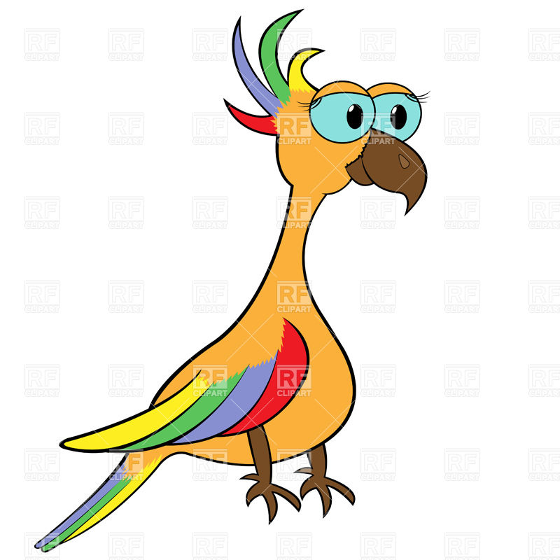 800x800 Colourful Cartoon Parrot Vector Image Of Plants And Animals