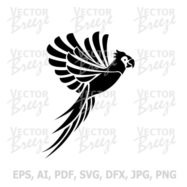 794x794 Flying Parrot Vector Original Illustration Graphic Digital Etsy