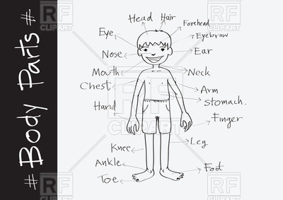 400x283 Parts Of Body Boy
