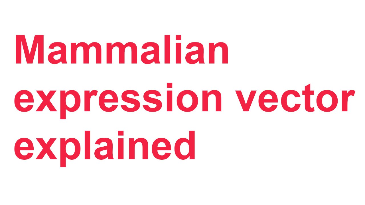 1280x720 Review Parts Of A Mammalian Expression Vector