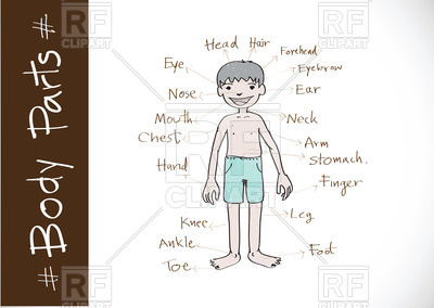400x284 Boy With Pointers To Part Of Body Vector Image Of People Tumdee