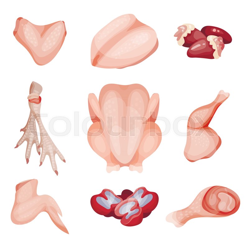800x800 Chicken Meat Part Set, Parts Of Stock Vector Colourbox