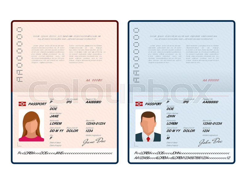 Vector Blank Open Passport Template Stock Vector Colourbox 800x600 Vector Blank Open Passport Template Stock Vector Colourbox